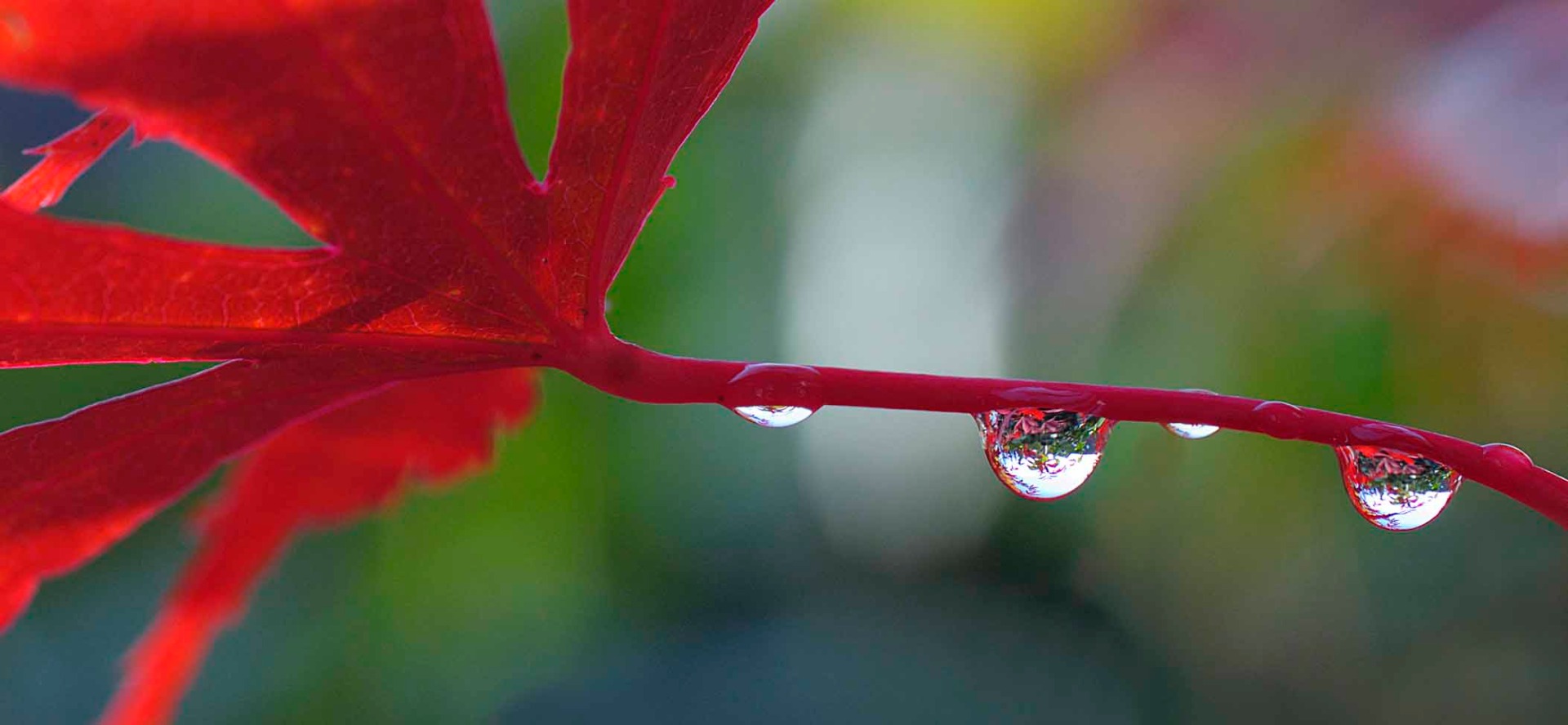 Fotoausstellung -   bis Dezember 2025   im Café Bohne, 78713 Schramberg, Hauptstr. 45